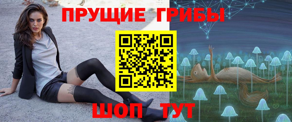 Дальнегорск  Галлюциногенные грибы Magic Shrooms  Вход с VPN  Псилоцибиновые грибы MAGIC MUSHROOMS 
